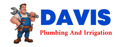 Trusted plumber in CHAPIN